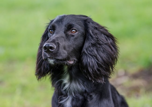 oral and maxillofacial surgery