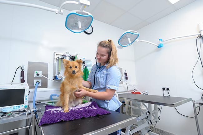 purpose-built ECC unit