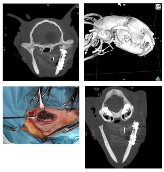 Custom made Titanium plates