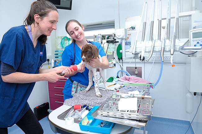 £3 million extension