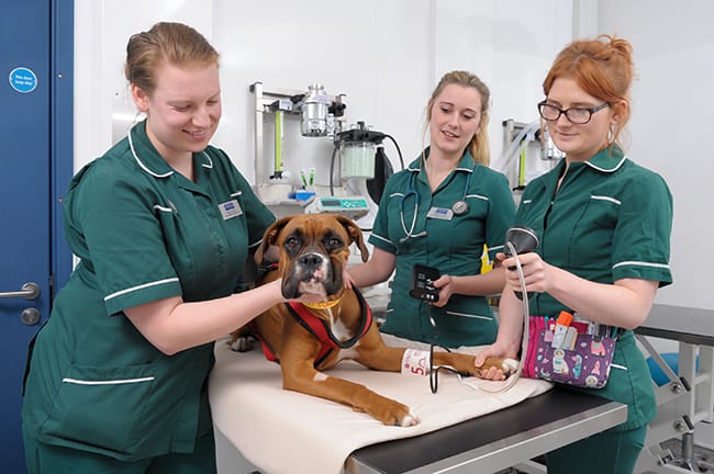 Eastcott Referrals Medicine Nurses