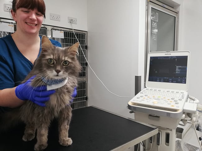 Proximal_Ureteric_Obstruction