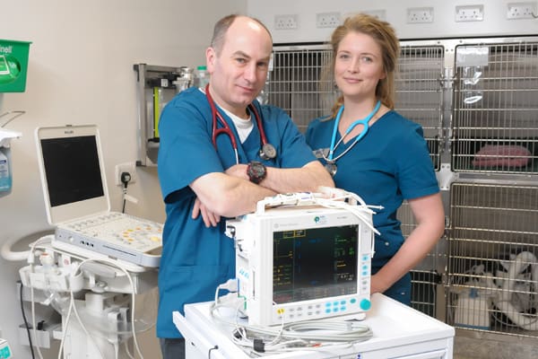 emergency vet referral