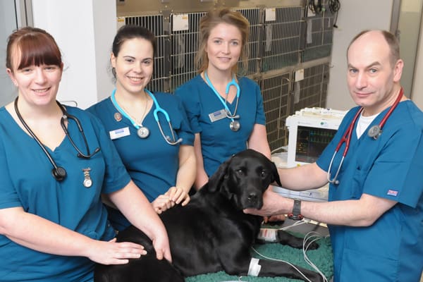 emergency and critical care