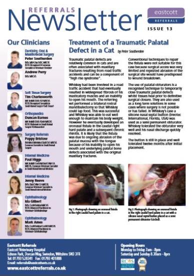 Vet Referral Newsletter
