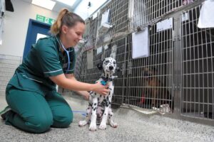 Make a referral-resized