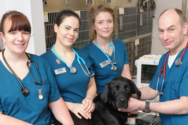 east-cott-banner-cpd-opportunities-cropped