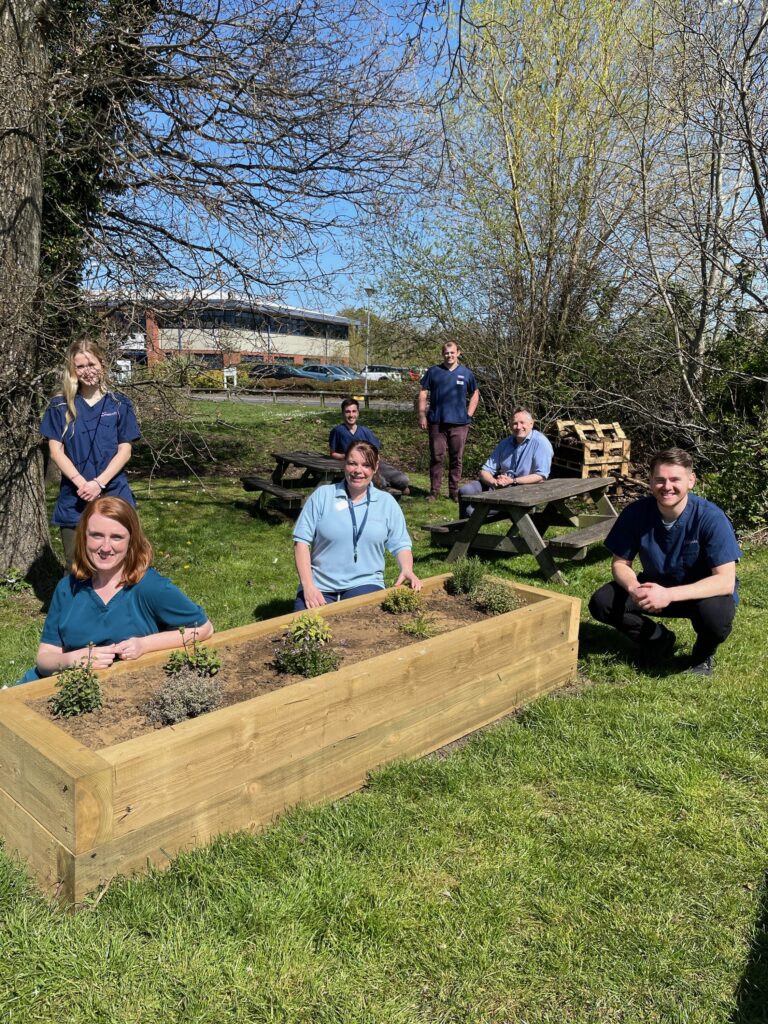 Insect Hotel at Eastcott Referral Hospital in Swindon