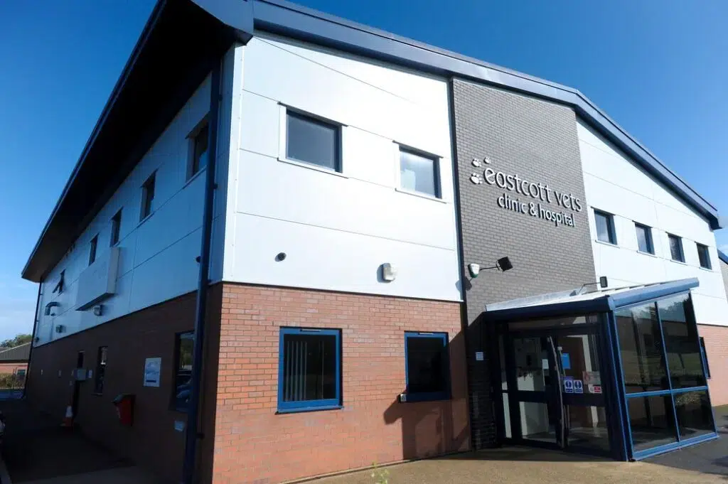 Eastcotts vet building outside view