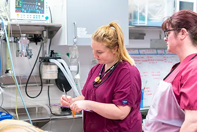 eastcott referrals emergency and critical care team