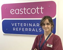 New Anaesthesia Head of Service