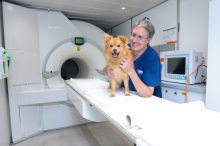 Referral Radiographer - Veterinary Nurse Awareness Month 2021