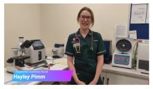 RVN Hayley Pimm discusses the variety of laboratory test