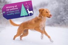 christmas open times at eastcott referrals in swindon